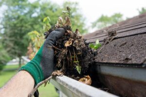 gutter cleaning watkinsville